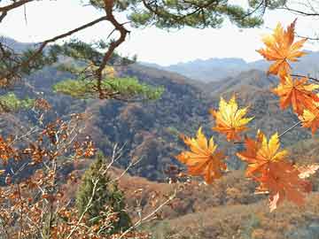 掰手腕導(dǎo)致胳膊骨折，看似簡(jiǎn)單的游戲，卻暗藏風(fēng)險(xiǎn)